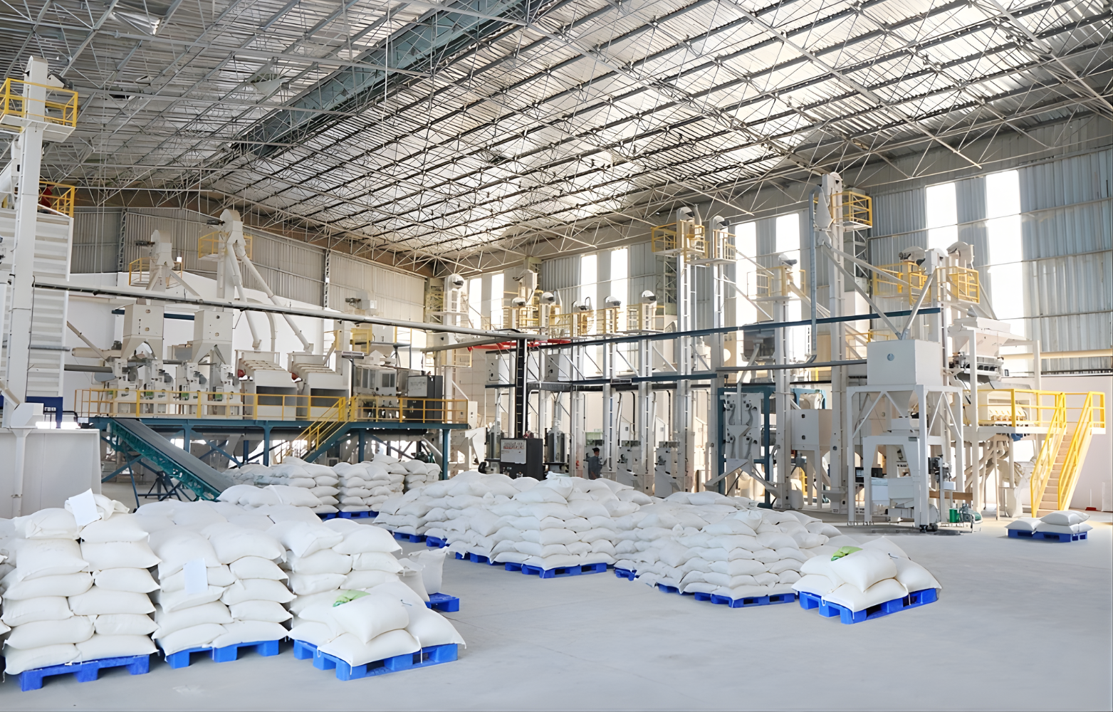 fragrant rice export