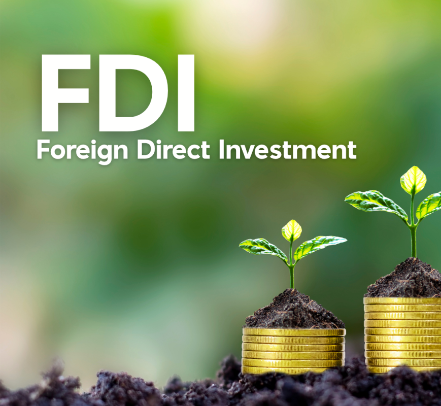 FDI in Vietnam