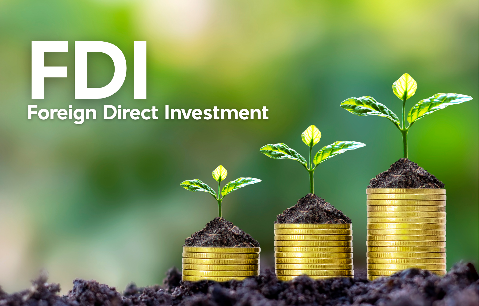 FDI in Vietnam 
