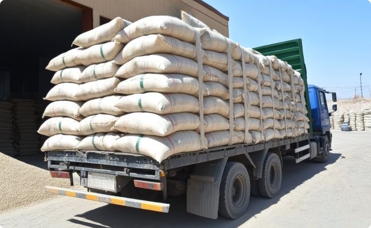 Vietnam fertilizer exports